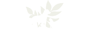 Town & Country Veterinarians in Gainesville, FL