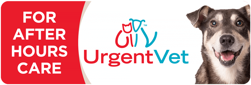 UrgentVet Website Button